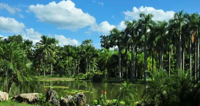 Xishuangbanna Tropical Botanical Garden, Yunnan, China